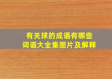 有关球的成语有哪些词语大全集图片及解释