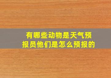 有哪些动物是天气预报员他们是怎么预报的