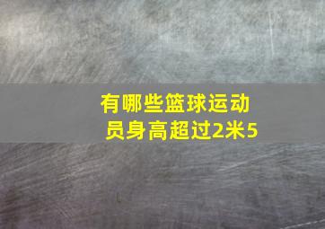 有哪些篮球运动员身高超过2米5