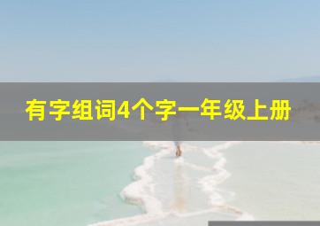 有字组词4个字一年级上册