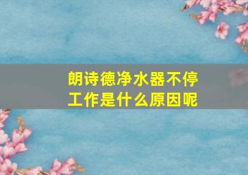 朗诗德净水器不停工作是什么原因呢