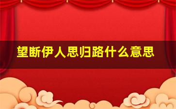 望断伊人思归路什么意思