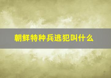 朝鲜特种兵逃犯叫什么