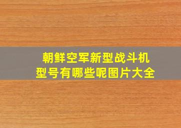 朝鲜空军新型战斗机型号有哪些呢图片大全