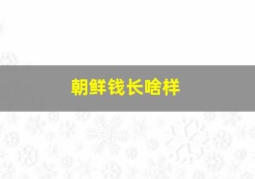 朝鲜钱长啥样