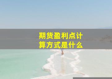 期货盈利点计算方式是什么