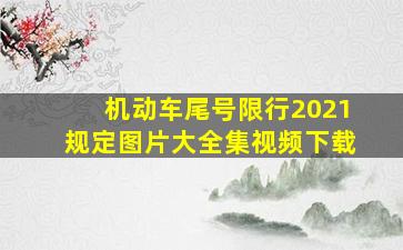 机动车尾号限行2021规定图片大全集视频下载