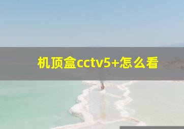 机顶盒cctv5+怎么看