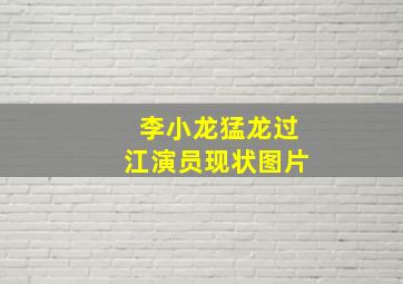 李小龙猛龙过江演员现状图片