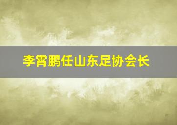 李霄鹏任山东足协会长