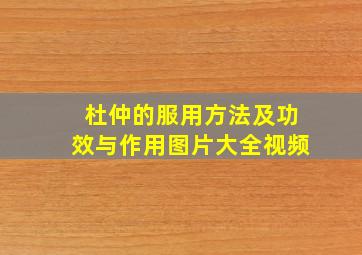 杜仲的服用方法及功效与作用图片大全视频