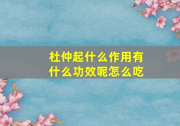 杜仲起什么作用有什么功效呢怎么吃