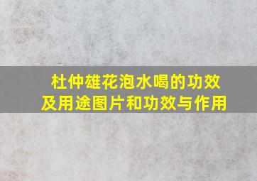 杜仲雄花泡水喝的功效及用途图片和功效与作用