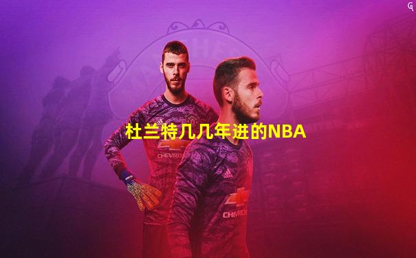 杜兰特几几年进的NBA