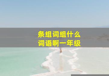 条组词组什么词语啊一年级