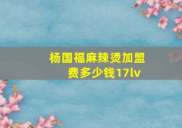 杨国福麻辣烫加盟费多少钱17lv