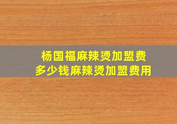 杨国福麻辣烫加盟费多少钱麻辣烫加盟费用