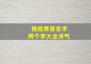 杨姓男孩名字两个字大全洋气