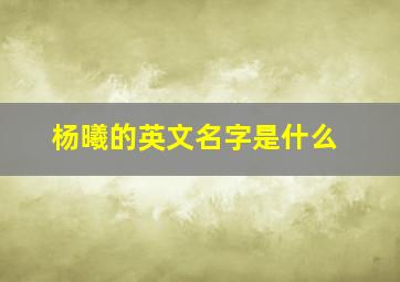 杨曦的英文名字是什么