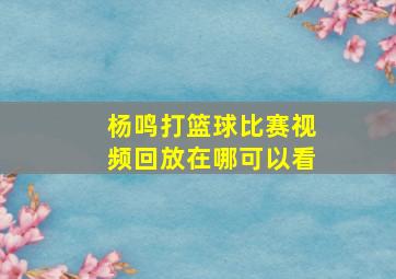 杨鸣打篮球比赛视频回放在哪可以看