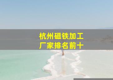 杭州磁铁加工厂家排名前十