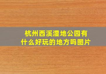 杭州西溪湿地公园有什么好玩的地方吗图片