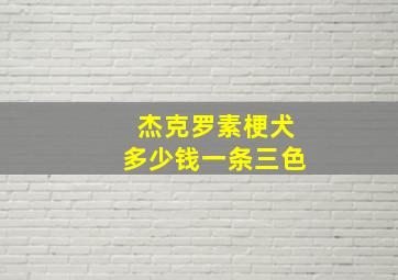 杰克罗素梗犬多少钱一条三色