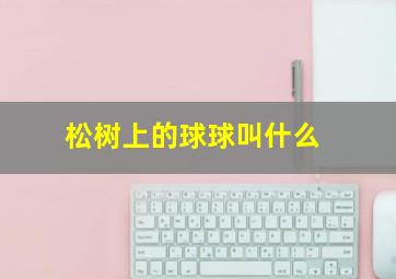 松树上的球球叫什么