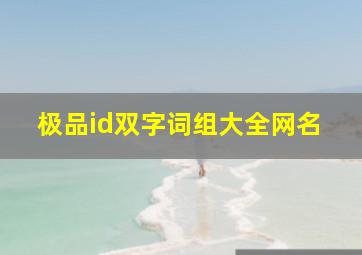 极品id双字词组大全网名