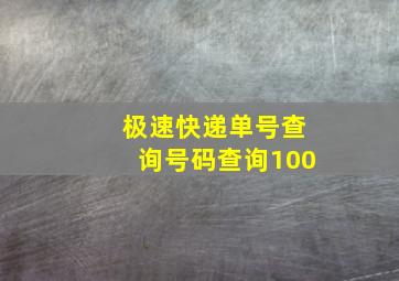 极速快递单号查询号码查询100