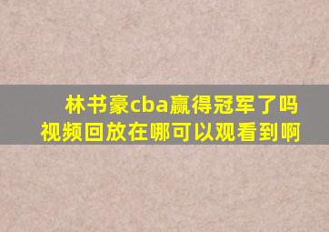 林书豪cba赢得冠军了吗视频回放在哪可以观看到啊