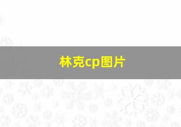 林克cp图片