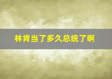 林肯当了多久总统了啊