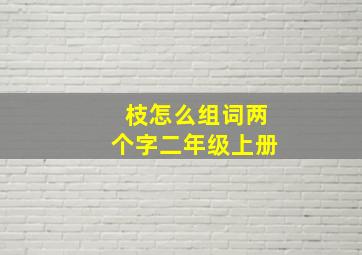 枝怎么组词两个字二年级上册