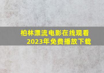 柏林漂流电影在线观看2023年免费播放下载