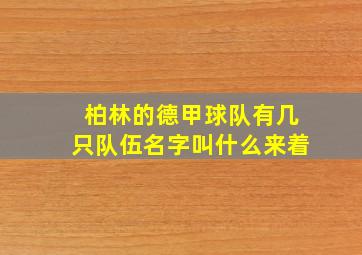 柏林的德甲球队有几只队伍名字叫什么来着