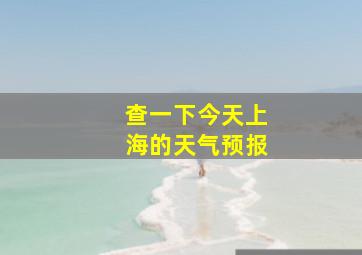 查一下今天上海的天气预报