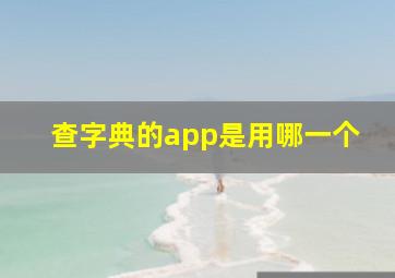 查字典的app是用哪一个