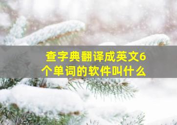 查字典翻译成英文6个单词的软件叫什么