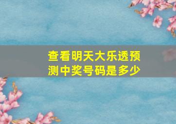 查看明天大乐透预测中奖号码是多少