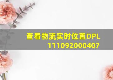 查看物流实时位置DPL111092000407