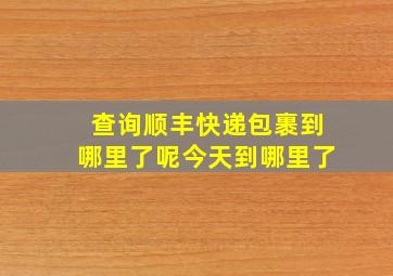 查询顺丰快递包裹到哪里了呢今天到哪里了