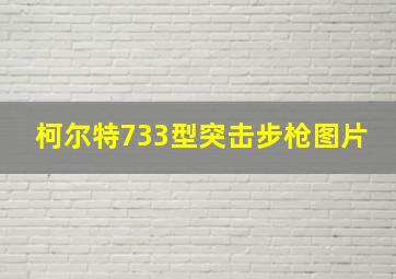 柯尔特733型突击步枪图片