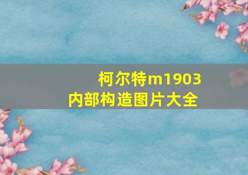 柯尔特m1903内部构造图片大全