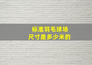 标准羽毛球场尺寸是多少米的