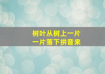 树叶从树上一片一片落下拼音来