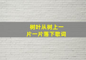 树叶从树上一片一片落下歌词