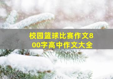 校园篮球比赛作文800字高中作文大全