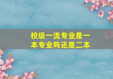 校级一流专业是一本专业吗还是二本