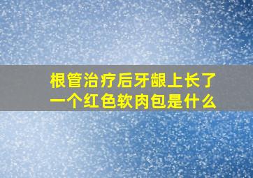 根管治疗后牙龈上长了一个红色软肉包是什么